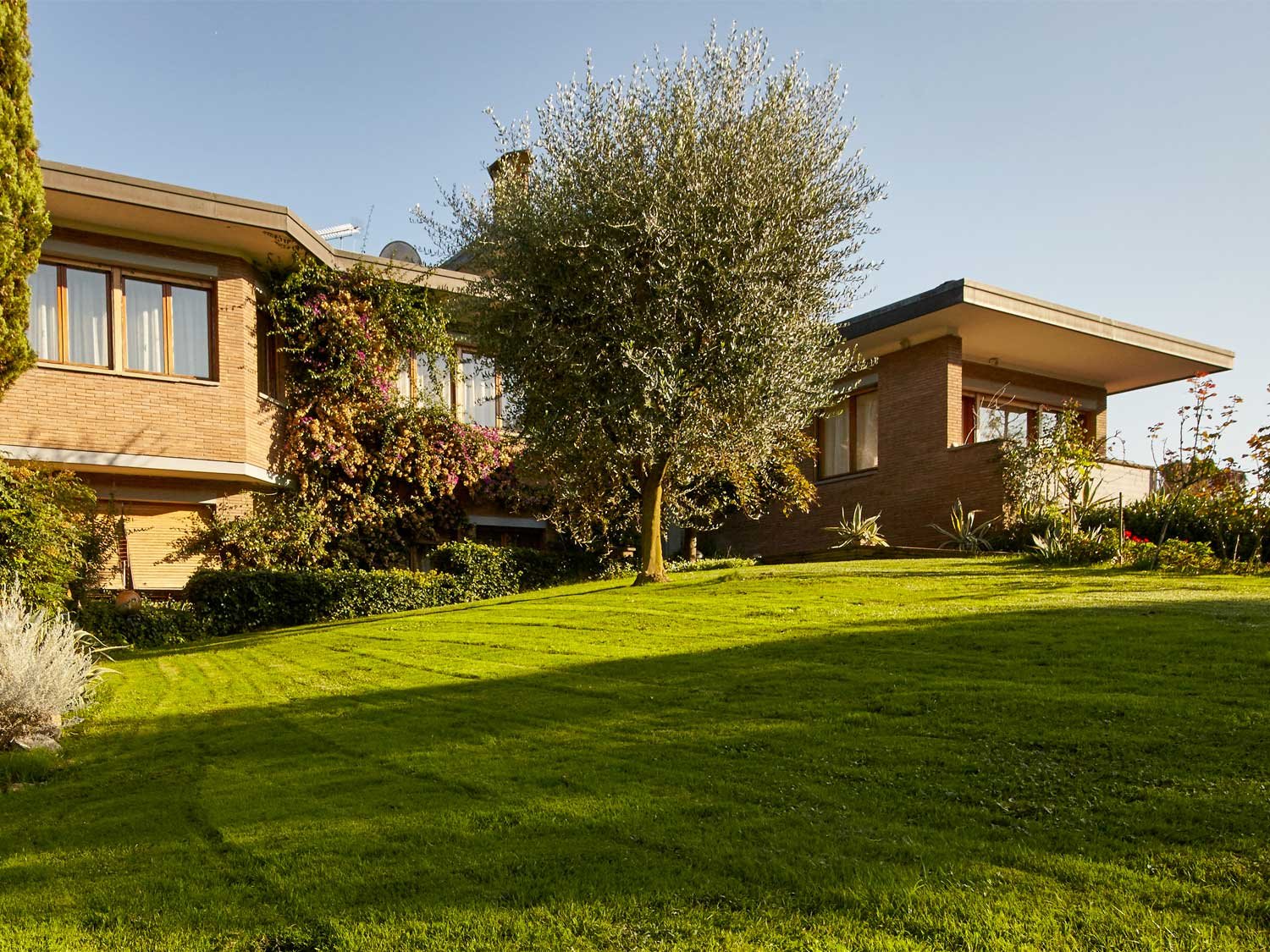 B&B La Dimora del Bassotto